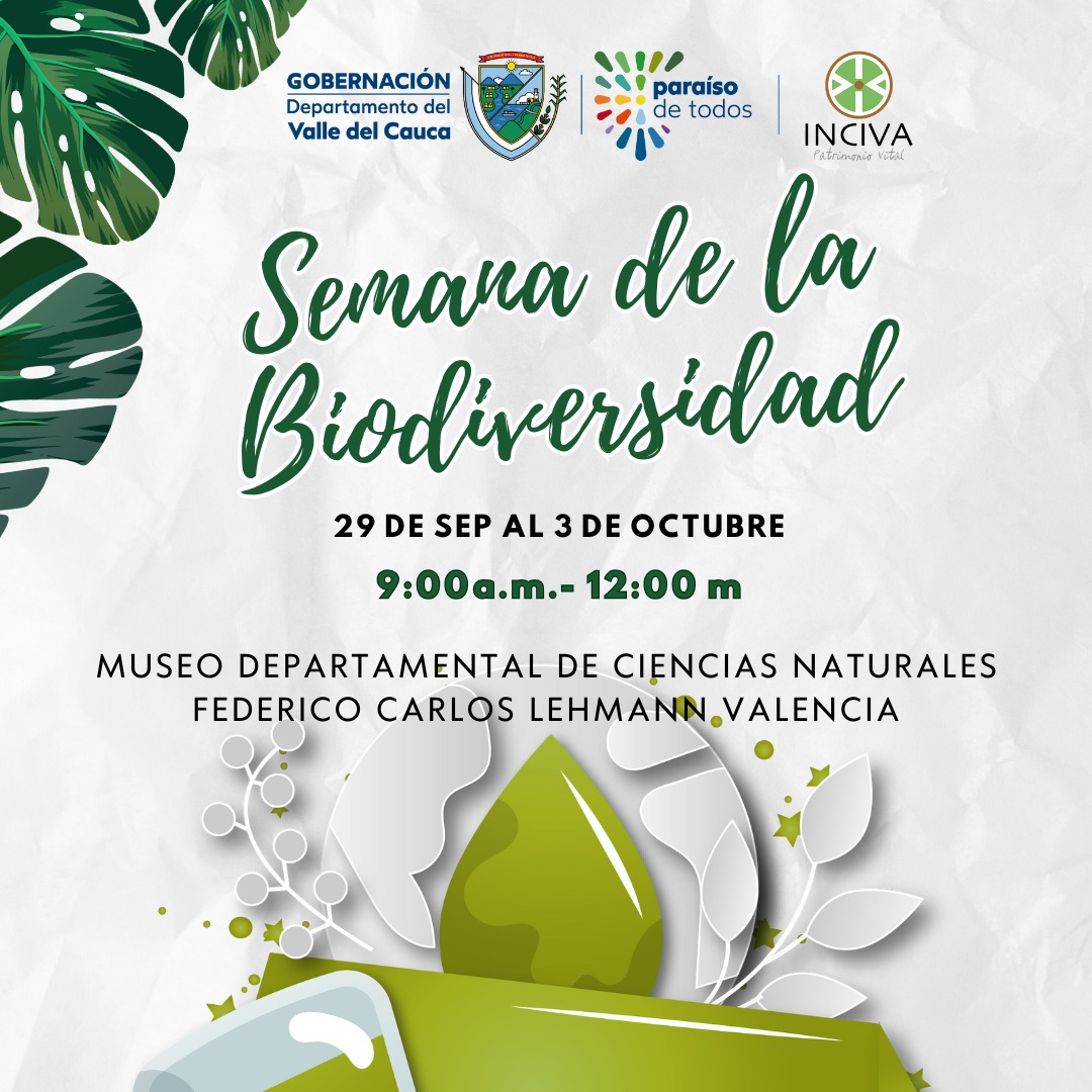 124511-whatsapp image 2025-09-29 at 12.32.58 pm